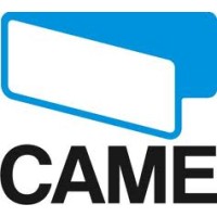 Рычаг мотора Came 119RIG052