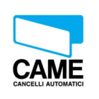 Микровыключатель без рычага Came 119RIR083
