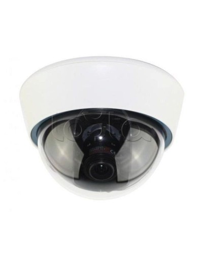 IP-камера видеонаблюдения купольная EverFocus ACE-IOV20A в Норильске IP-камеры Pintop.ru