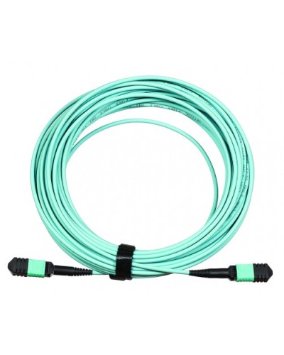 Сборка кабельная LANMASTER (LAN-12M-12M/OM3B-20) в Норильске Коннекторы Pintop.ru