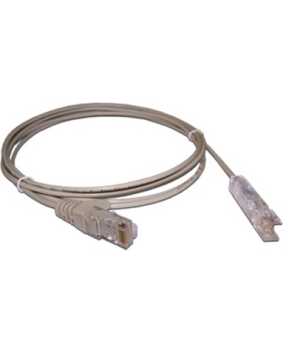 Патч-корд 110 тип - RJ45, 1 пара, UTP, 2 м LANMASTER LAN-45-P1-2m в Норильске Патч-корды и пигтейлы Pintop.ru