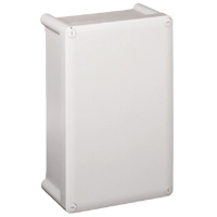 Коробка промышленная Legrand 035970