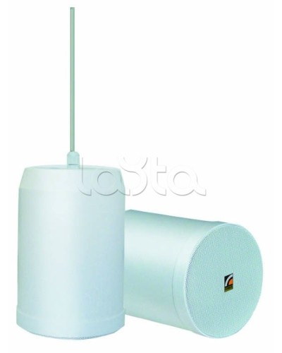 Громкоговоритель встраиваемый ROXTON SP-20T в Норильске Система оповещения и трансляции Roxton Pintop.ru