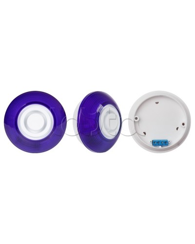 Оповещатель комбинированный SLT Марс 12-КП (строб, син) в Норильске Оповещатели Pintop.ru